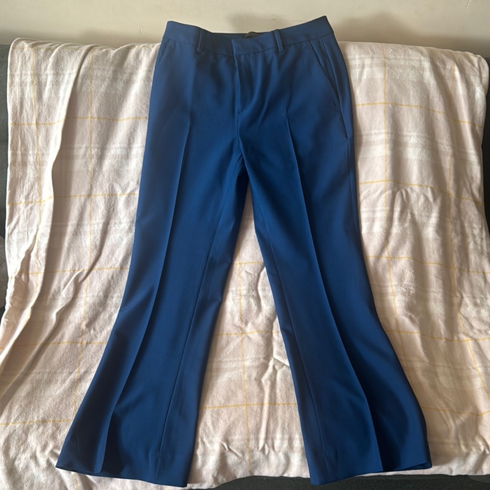 Banana Republic Deep Blue Trousers
